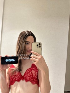 Транс Павлодара Транс№470099 Альфия Не надолго Фотография №3568103